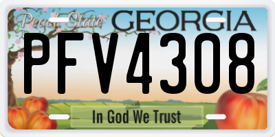 GA license plate PFV4308