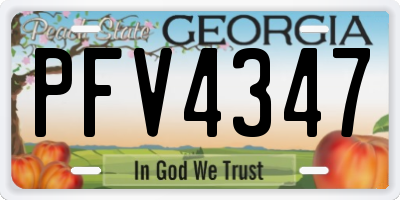 GA license plate PFV4347