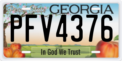 GA license plate PFV4376