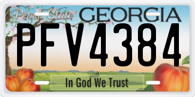GA license plate PFV4384