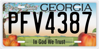 GA license plate PFV4387