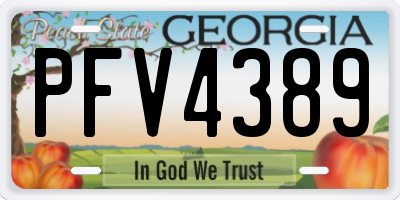 GA license plate PFV4389