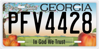 GA license plate PFV4428