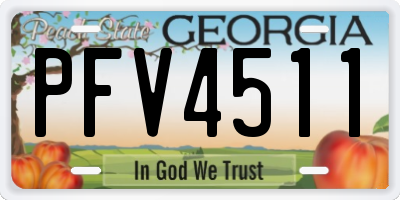 GA license plate PFV4511