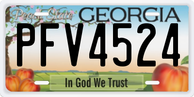 GA license plate PFV4524