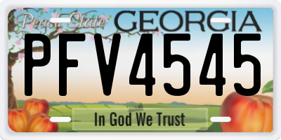 GA license plate PFV4545