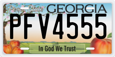 GA license plate PFV4555