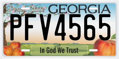 GA license plate PFV4565