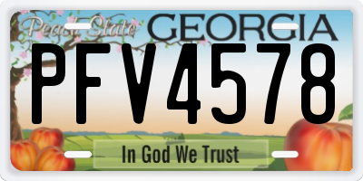 GA license plate PFV4578