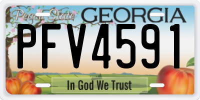 GA license plate PFV4591