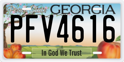 GA license plate PFV4616
