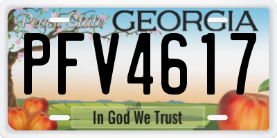GA license plate PFV4617