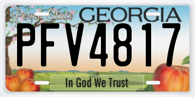 GA license plate PFV4817