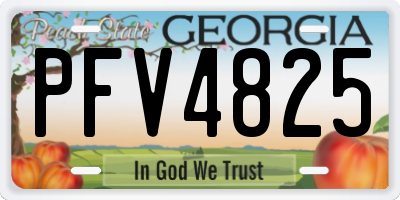 GA license plate PFV4825