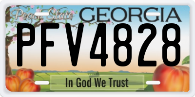 GA license plate PFV4828