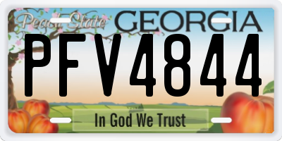 GA license plate PFV4844