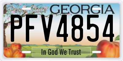 GA license plate PFV4854