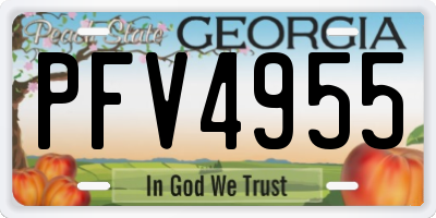 GA license plate PFV4955