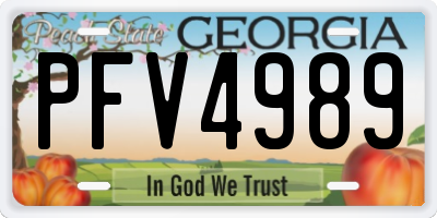 GA license plate PFV4989