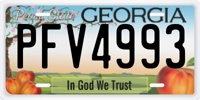 GA license plate PFV4993