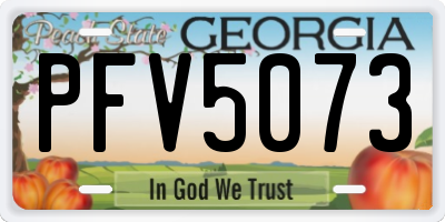 GA license plate PFV5073