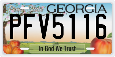 GA license plate PFV5116