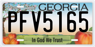 GA license plate PFV5165
