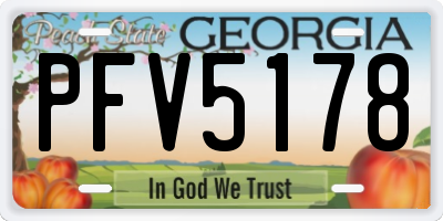 GA license plate PFV5178