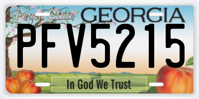 GA license plate PFV5215