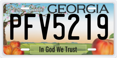 GA license plate PFV5219