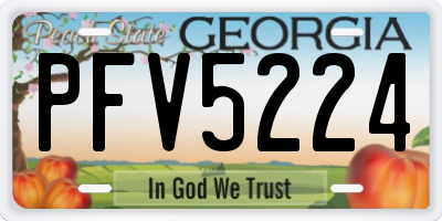 GA license plate PFV5224