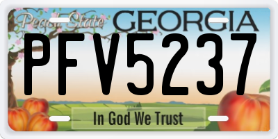 GA license plate PFV5237