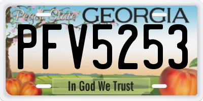 GA license plate PFV5253