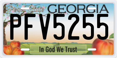 GA license plate PFV5255