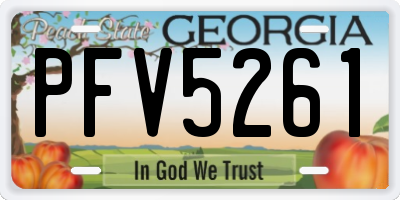 GA license plate PFV5261