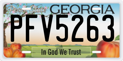 GA license plate PFV5263