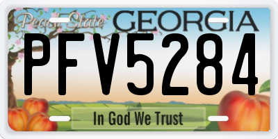 GA license plate PFV5284