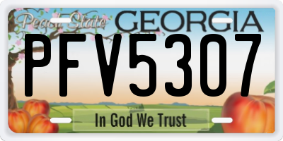 GA license plate PFV5307
