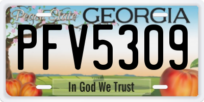 GA license plate PFV5309