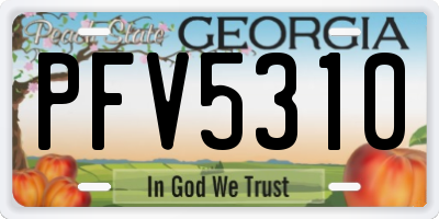 GA license plate PFV5310