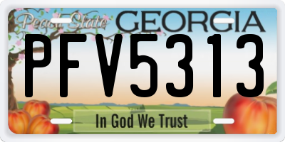 GA license plate PFV5313