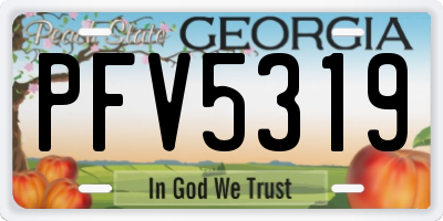 GA license plate PFV5319