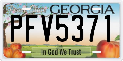 GA license plate PFV5371