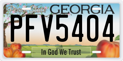 GA license plate PFV5404