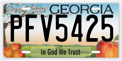 GA license plate PFV5425