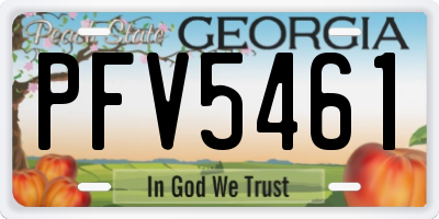 GA license plate PFV5461