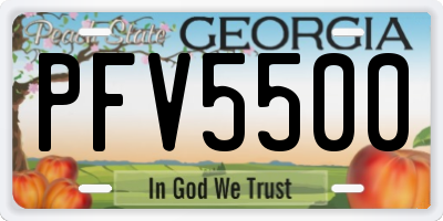 GA license plate PFV5500