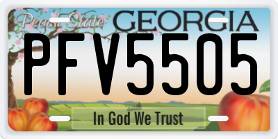 GA license plate PFV5505