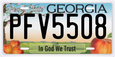 GA license plate PFV5508