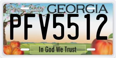 GA license plate PFV5512